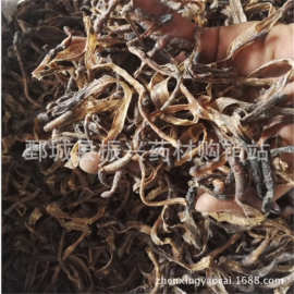 虫类药材在药品批发中的价值与挑战