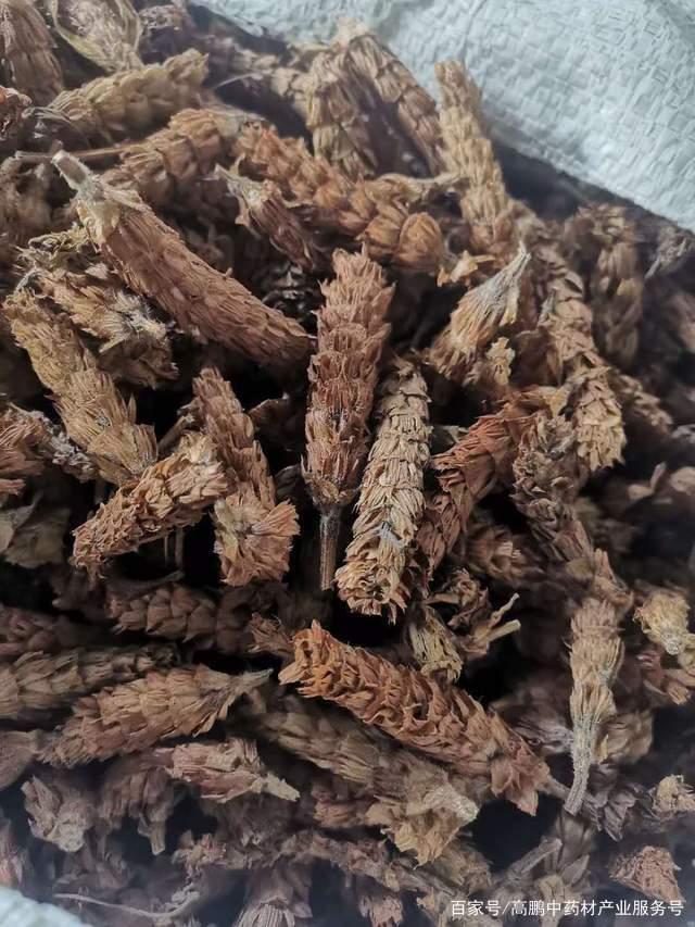 探秘亳州中药材批发市场 传统与创新的交汇之地